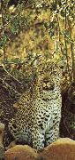 unknow artist Misstanksamt and furiost am guarding leoparden sits loot Spain oil painting artist